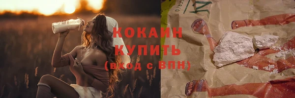 дживик Белоозёрский