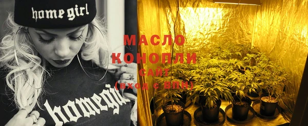 молекула духа Богородицк
