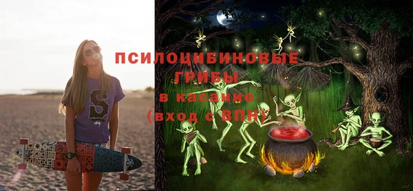 дживик Белоозёрский