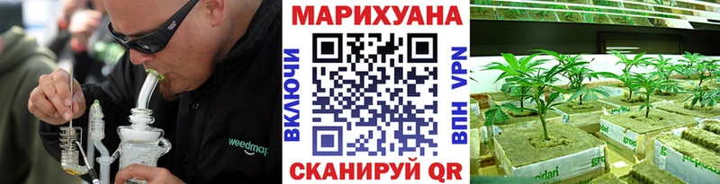 Конопля сатива  купить наркотик  Городец 